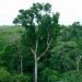 3400 hectares – Certificada – Área Para Reserva – Mata Atlântica – Paraná
