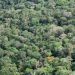 52 Hectares – 100% Preservada – Reserva Legal – Compensação Ambiental